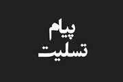  پیام تسلیت دکتر احمدی مدیرکل دامپزشکی استان ایلام به مناسبت ضایعه دردناک انفجار در بندر شهید رجایی بندرعباس