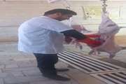 کشتارگاه دام زرین آباد فعال شد 