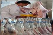 معدوم‌سازی بیش از یک تن گوشت و امعاء و احشاء غیرقابل مصرف در کشتارگاه های دهلران