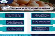 مشخصات تخم مرغ سالم و بهداشتی 