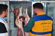 بازدید مشترک دامپزشکی و شبکه بهداشت شهرستان هلیلان در ایام تعطیلات نوروز