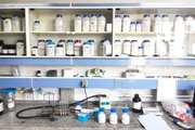 انجام بیش از ۱۷ هزار آزمایش در آزمایشگاه مرکزی دامپزشکی استان  