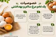 اینفوگرافی خصوصیات یک تخم مرغ سالم و بهداشتی