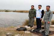 گشت مشترک دامپزشکی و محیط زیست شهرستان دره شهرباهدف پالایش آبگیرها وتالاب ها
