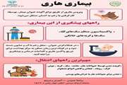 پوسترراههای پیشگیری ازبیماری هاری