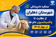 عملکرد دامپزشکی شهرستان  دهلران در بهار ۱۴۰۵؛ از نظارت تا واکسیناسیون دام ها