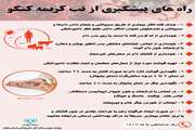 راه های پیشگیری از بیماری تب کریمه کنگو