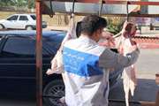 بازرسی بهداشتی ۵۹۸ رأس دام قربانی در استان ایلام