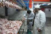 بازرسی سلامت گوشت قرمز و سفید در كشتارگاه های شهرستان ایوان