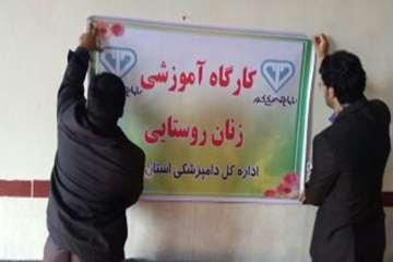 برگزاری کارگاه آموزشی زنان روستایی در شهرستان مهران