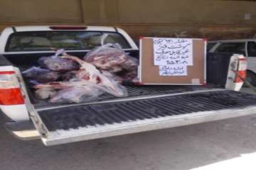 ضبط گوشت غیر قابل مصرف در شهرستان ایلام