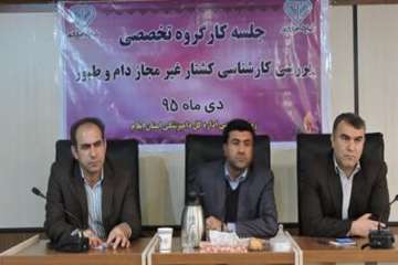 جلسه کارگروه تخصصی بررسی کارشناسی کشتار غیرمجاز دام و طیور در دی ماه 95