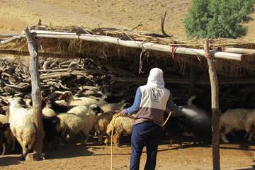 سمپاشي