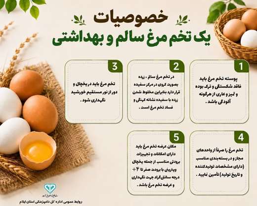 اینفوگرافی خصوصیات یک تخم مرغ سالم و بهداشتی