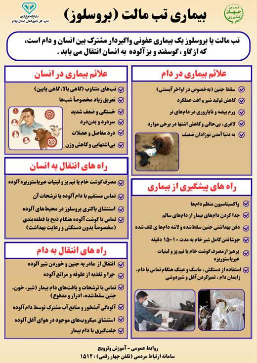 پوستر راههای پیشگیری از بیماری بروسلوز