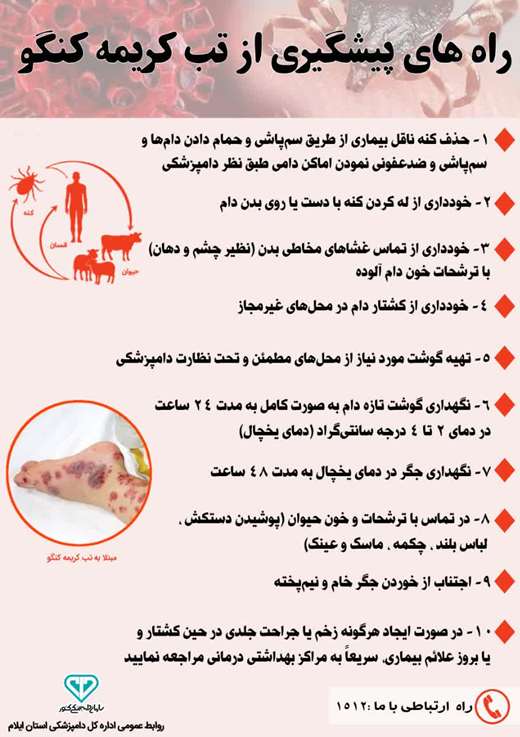 راه های پیشگیری از بیماری تب کریمه کنگو