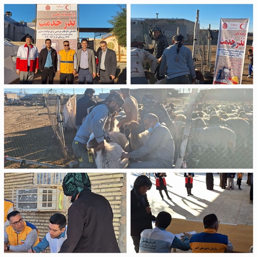  برگزاری اردوی جهادی دامپزشکی در مناطق عشایری دهلران 