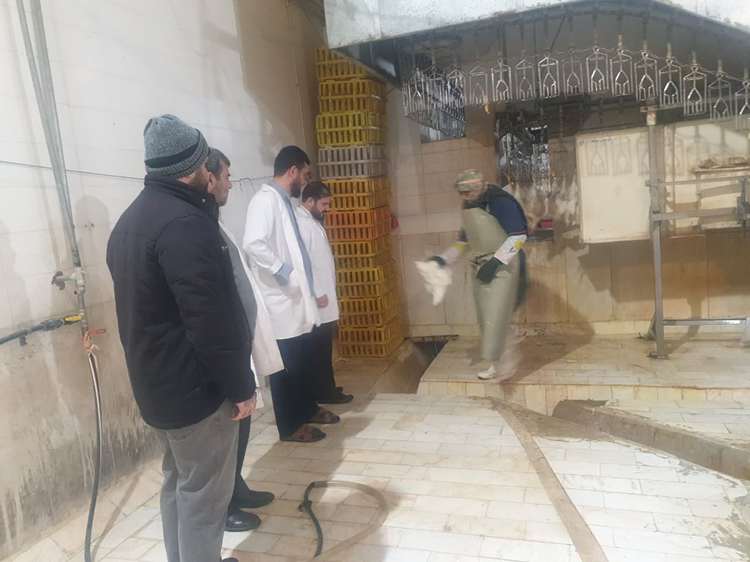 بازدیدمسئول دفترنمایندگی ولی فقیه اداره کل دامپزشکی استان ایلام ازکشتارگاه سپیدمرغ مانشت ایوان