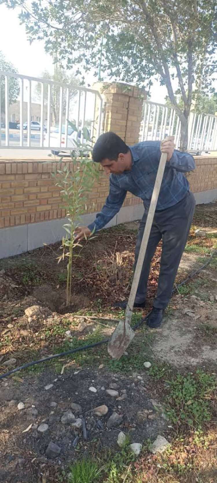 کاشت ۱۷اصل نهال در اداره دامپزشکی دهلران