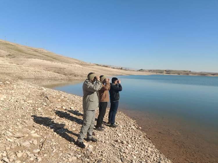 پایش تالاب های شهرستان دهلران به منظور مراقبت فعال بیماری آنفلوانزای فوق‌حاد پرندگان