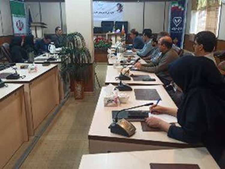 بررسی اثربخشی طرح‌های پژوهشی دامپزشکی ایلام با همکاری دانشگاه علوم پزشکی استان