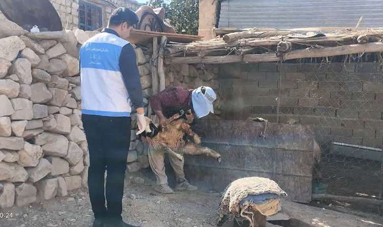 خدمت‌رسانی دامپزشکی در مناطق عشایری شهرستان ایوان به مناسبت هفته دفاع مقدس
