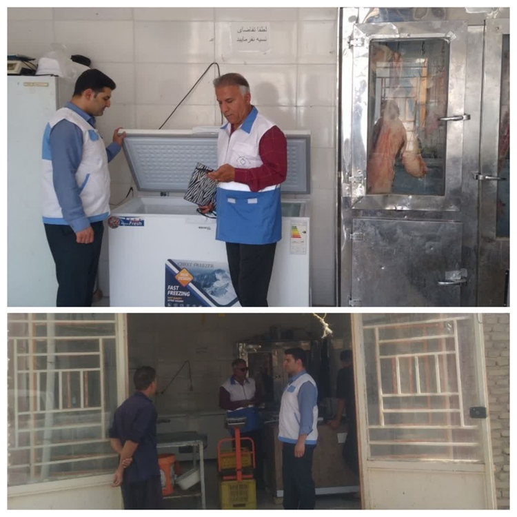 گشت مشترک نظارت بهداشتی اداره دامپزشکی و شبکه بهداشت در شهرستان دره شهر