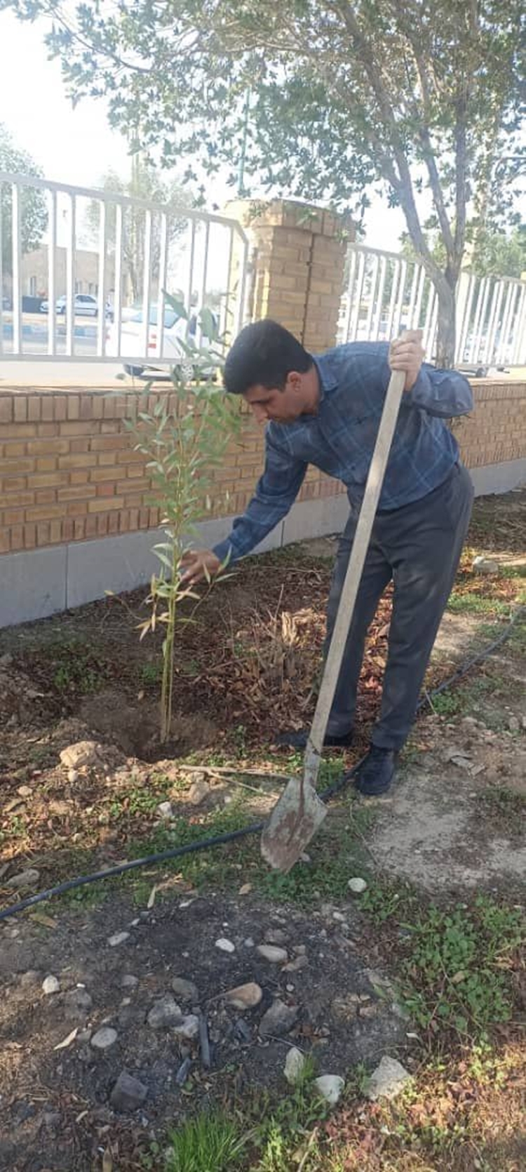 کاشت ۱۷اصل نهال در اداره دامپزشکی دهلران