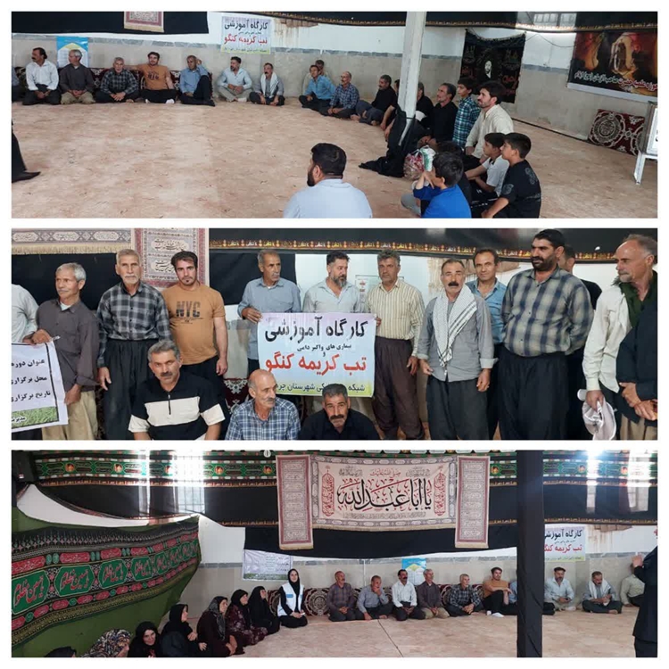 برگزاری دوره آموزشی بیماری‌های واگیر دامی و تب کریمه کنگو در روستای دراشکفت شهرستان چرداول