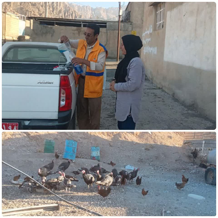 اجرای طرح واکسیناسیون طیوربومی علیه بیماری نیوکاسل درشهرستان ملکشاهی
