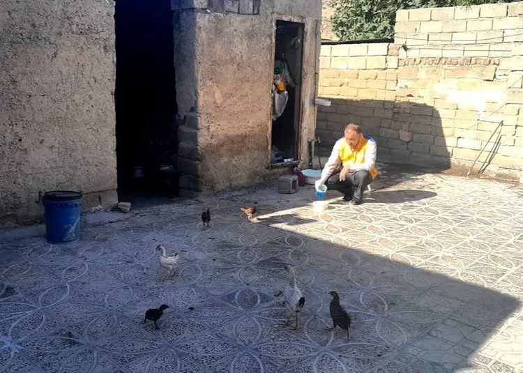 آغاز فاز پانزدهم واکسیناسیون  نیوکاسل طیور بومی شهرستان ایلام/ هدف‌گذاری برای پوشش ۱۰۰ درصدی روستاها