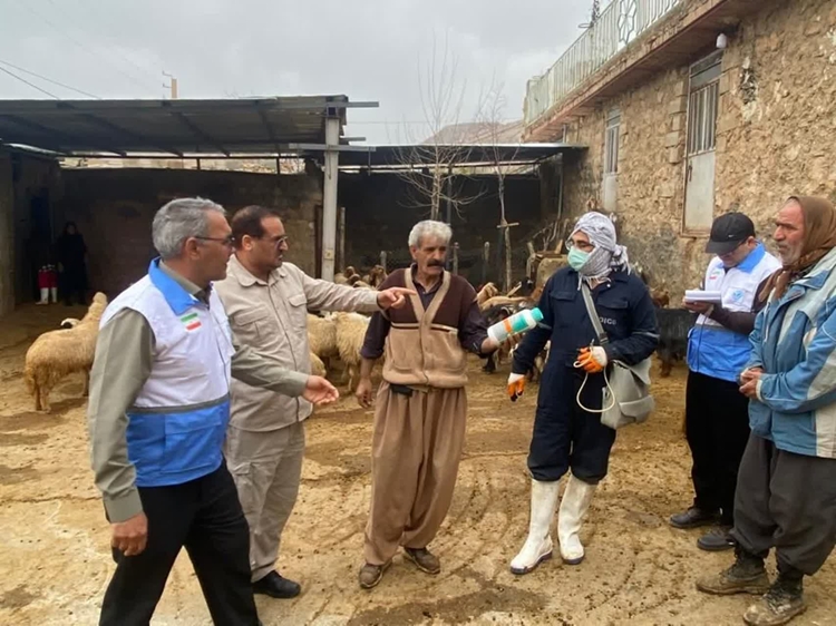 برگزاری اردوی جهادی دامپزشکی در روستای زنجیره علیای شهرستان چرداول