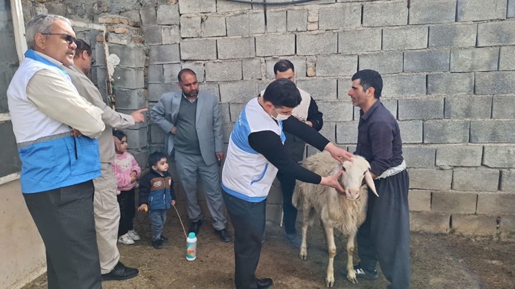 برگزاری اردوی جهادی دامپزشکی در روستای جهادآباد شهرستان دره‌شهر