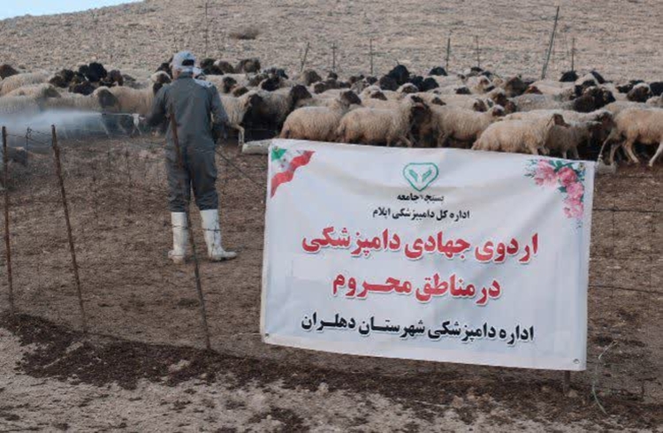 ارائه خدمات دامپزشکی در قالب گروه های جهادی در روستای سنگر نادر شهرستان دهلران