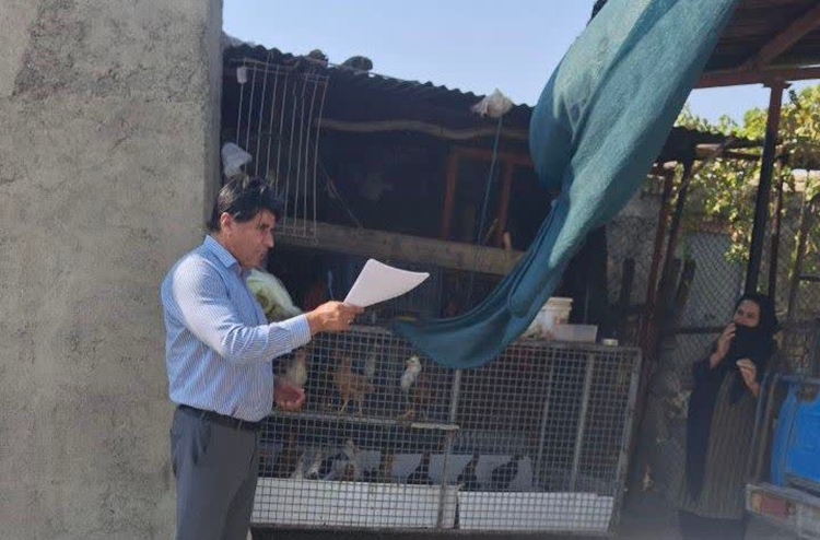 پایش عملکرد واکسیناسیون نیوکاسل طیور بومی در روستاهای شهرستان چوار